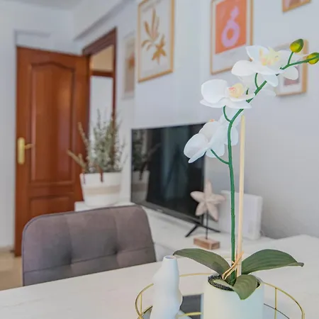 Delfin Retreat Con Terraza Junto A Parada De Metro Apartment *